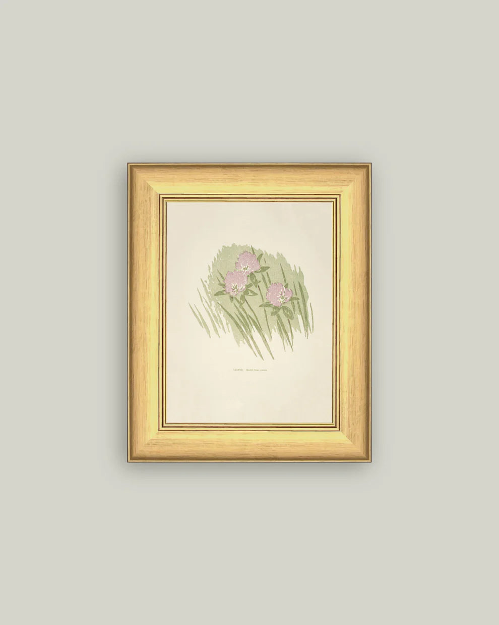 Clover