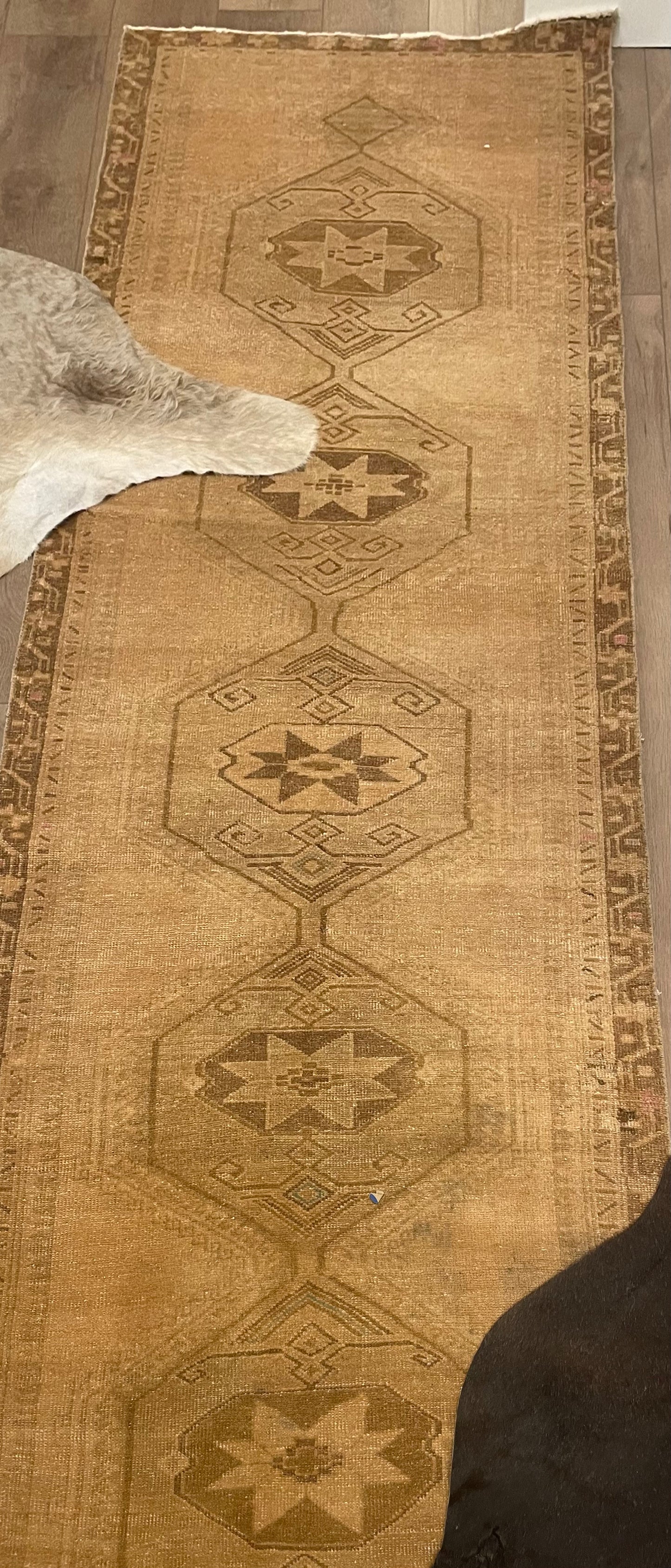 Vintage Runner