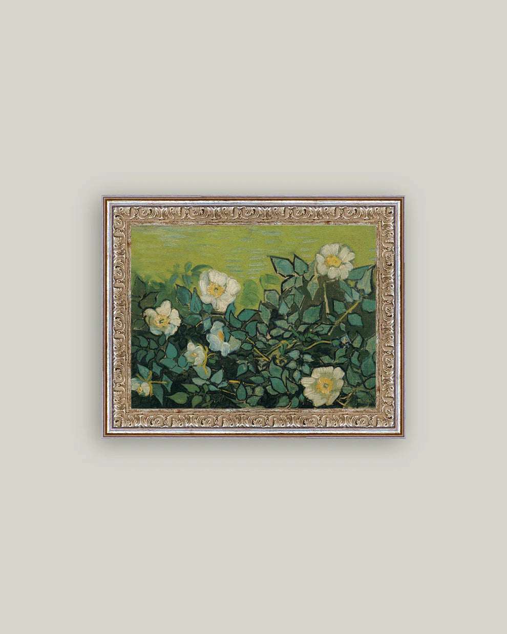 Wild Roses