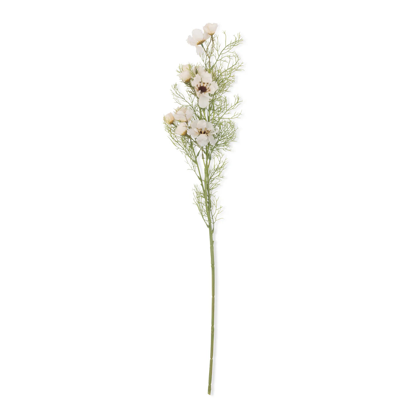 Artificial Cosmos Stem