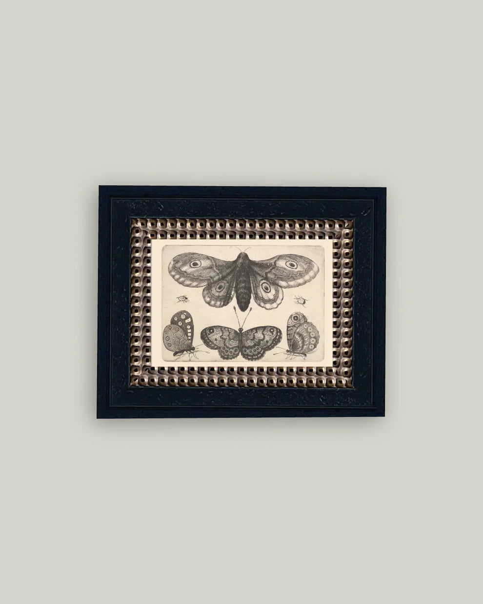 Insects