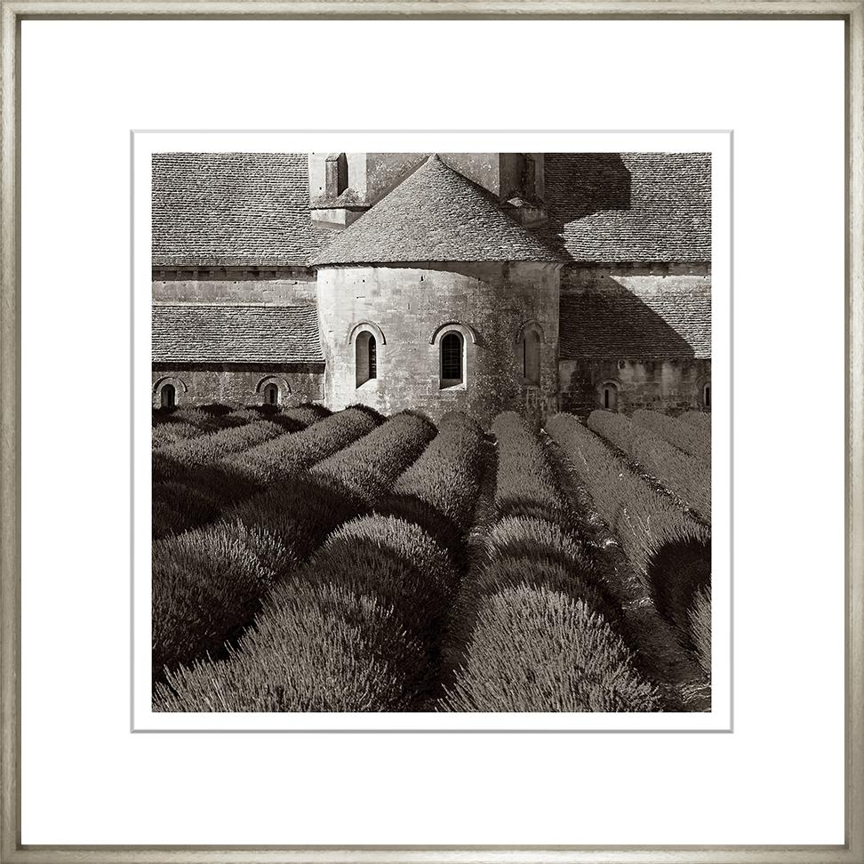 Sepia Landscape B/W